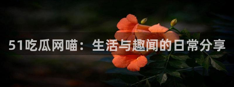 51吃瓜网喵：生活与趣闻的日常分享