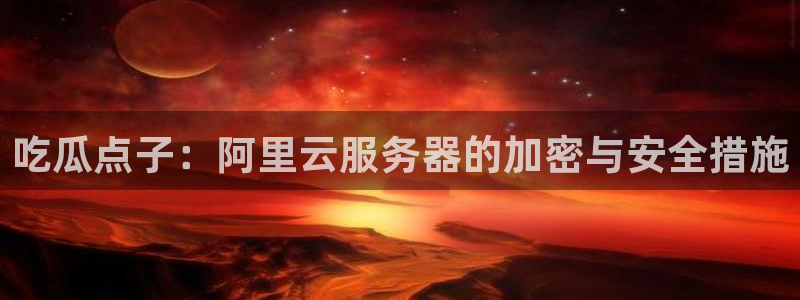 吃瓜点子：阿里云服务器的加密与安全措施