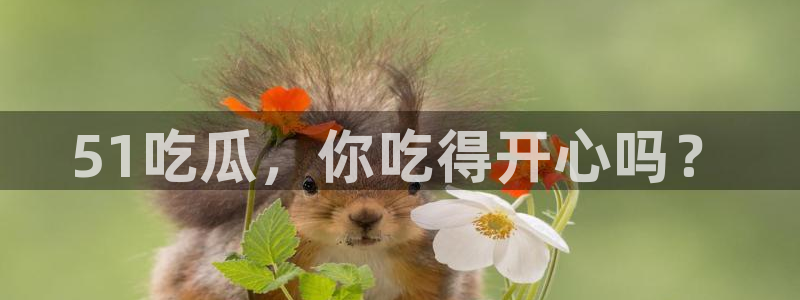 51吃瓜，你吃得开心吗？